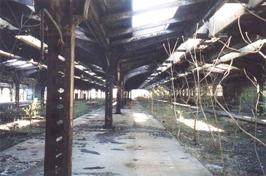 На железнодорожных путях - деревья