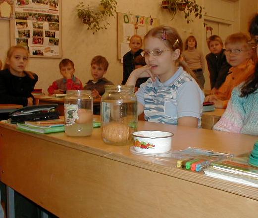 Урок с чудесами. 3 класс, гимназия №17, г. Петрозаводск.